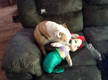 Extra Large / XLarge Toon Town Famous Character Stuffed Dog Toys: 15"-20" Squeak &amp; NO Squeak