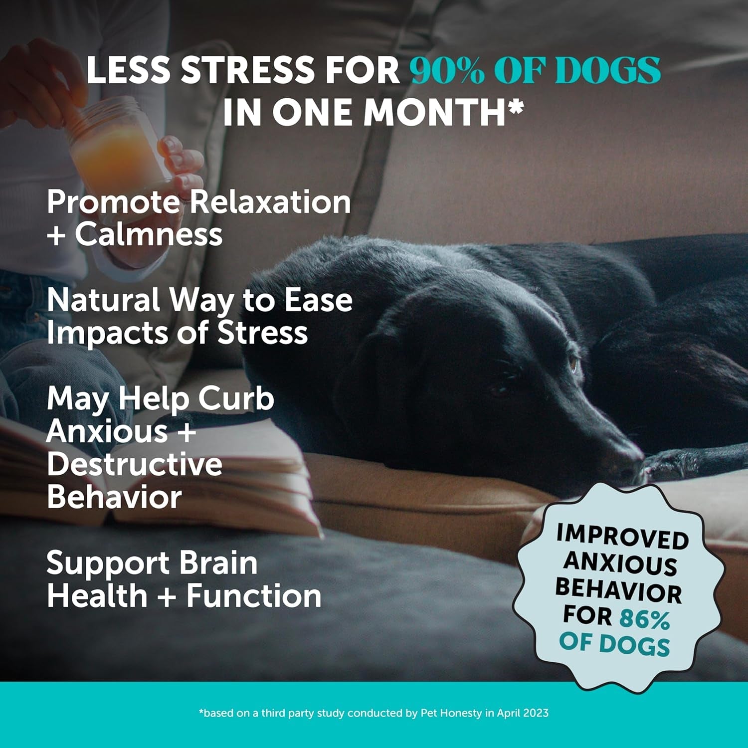 Dog Calming Bundle Hemp Calming Chews &amp; Dental Sticks Anxiety Support
