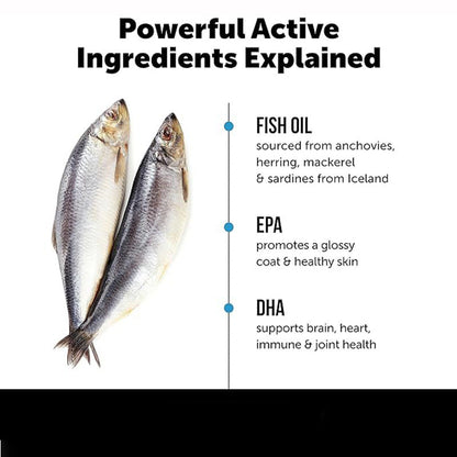 Pet Salmon Fish Oil