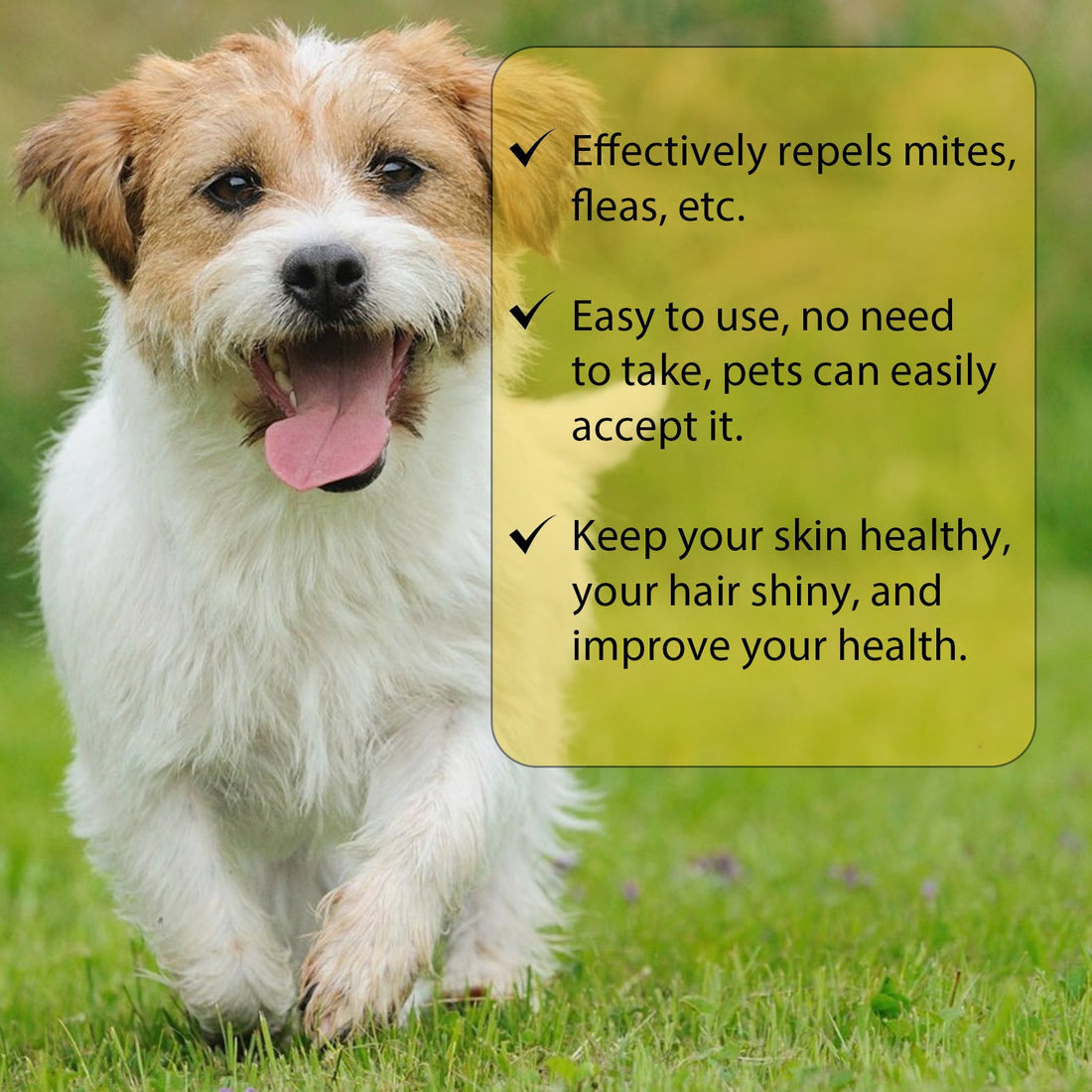 Cat And Dog Cleaning External Fleas Lice Ticks Skin Care
