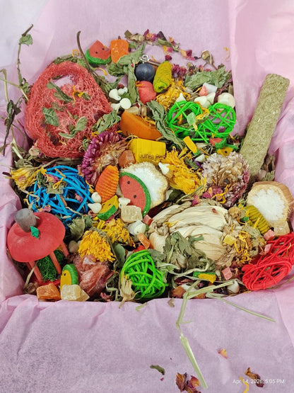Play &amp; Chew Rodent Fun  "No More Boredom" Box - Rats, Mice, Gerbils, Hamsters...