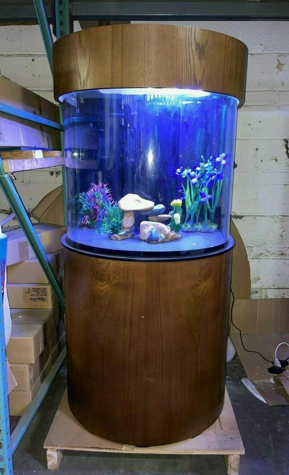 60 Gallon Half Round (Flat Sides) Reef-Ready Aquarium with Stand, Deep Oak