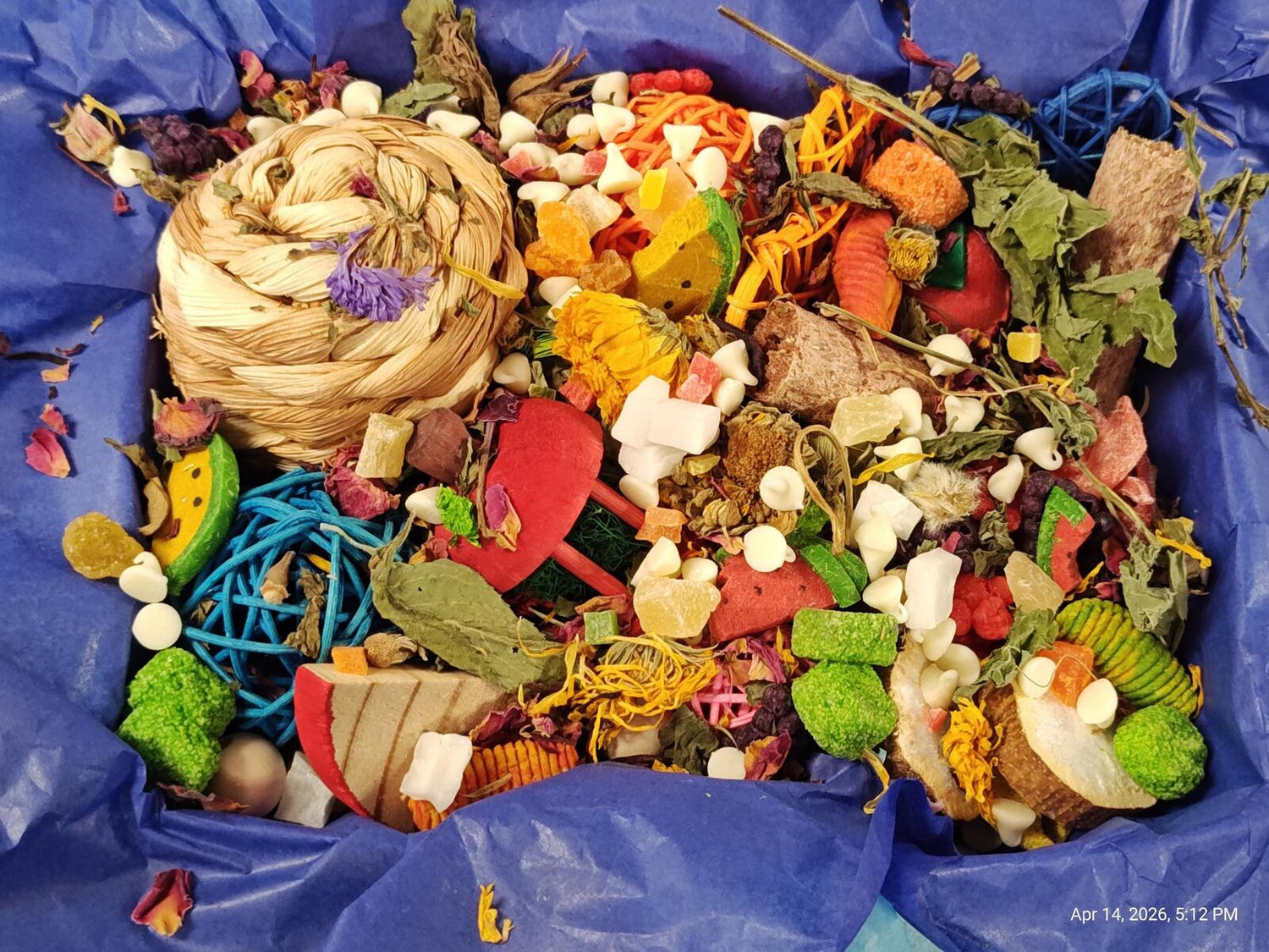 Play &amp; Chew Rodent Fun  "No More Boredom" Box - Rats, Mice, Gerbils, Hamsters...