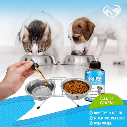 Kennel Cough Supplement for Dogs &amp; Cats Cold &amp; Cough Relief