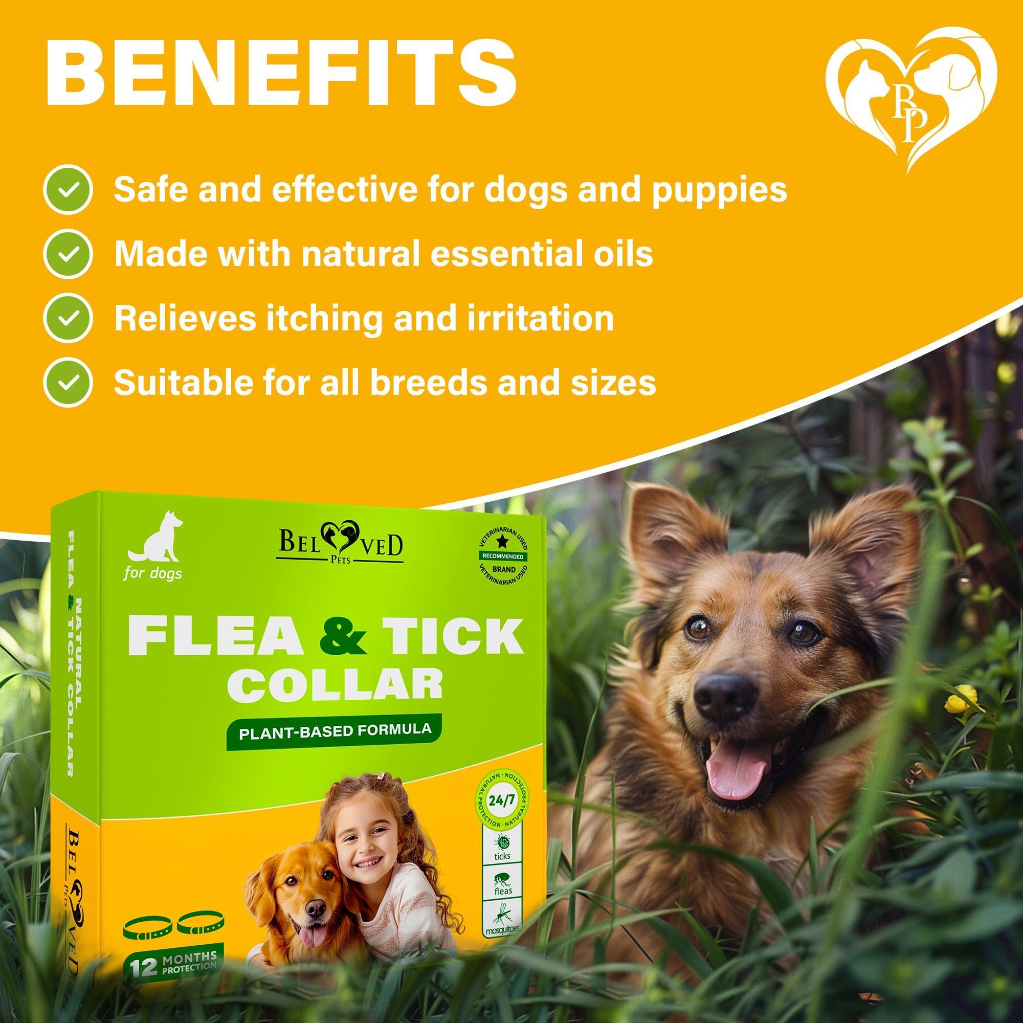 Flea &amp; Tick Collar for Dogs 6-Month Protection Essential Oil 2 Count