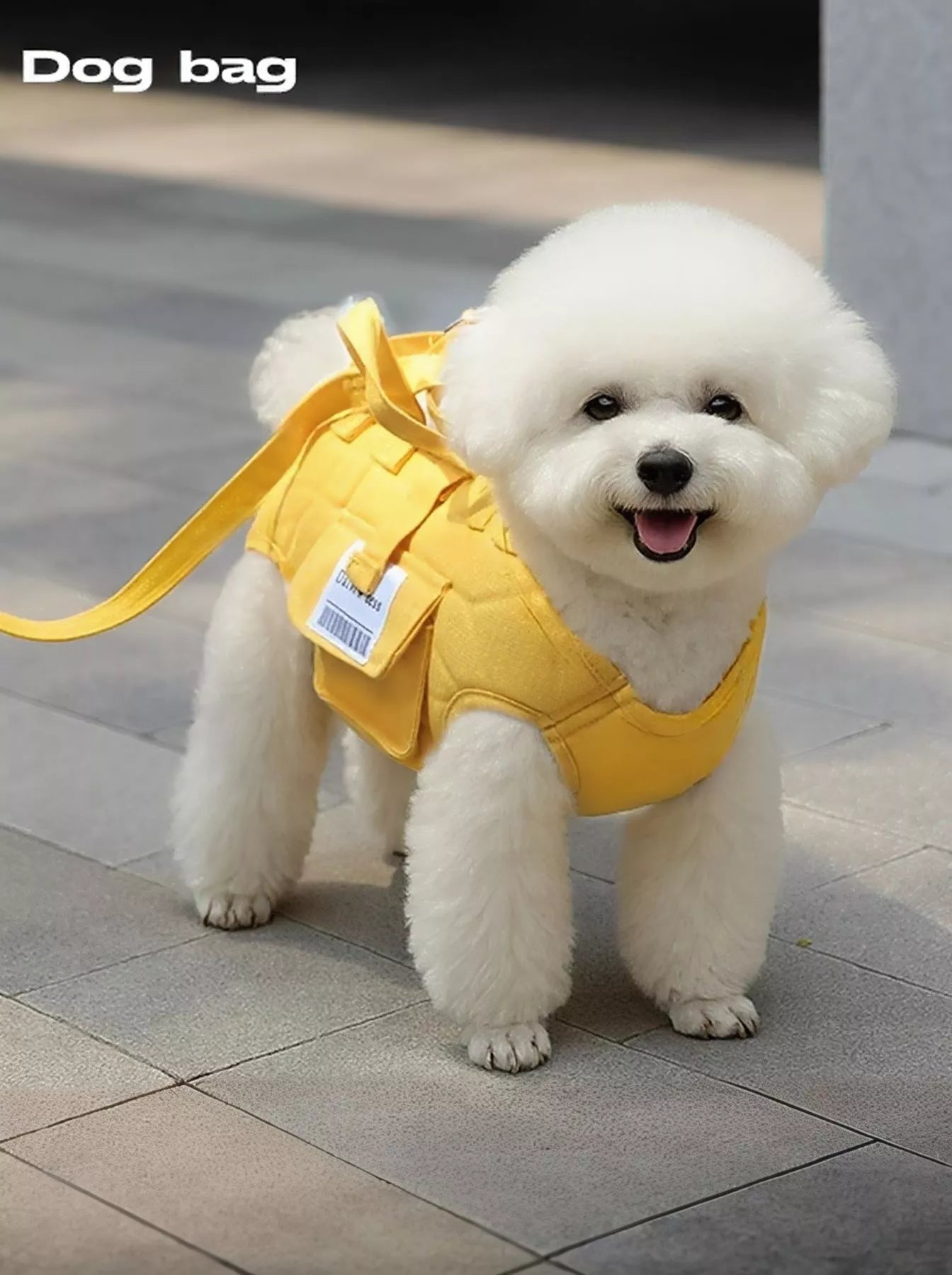 Portable Pet Carrier Harness