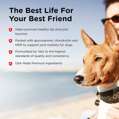Advanced Strength Hip &amp; Joint Chewable Dog Supplements