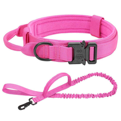 Durable Dog Collar &amp;amp; Leash Set — Adjustable, Comfortable, Everyday Use