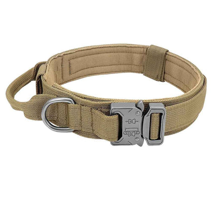 Durable Dog Collar &amp;amp; Leash Set — Adjustable, Comfortable, Everyday Use