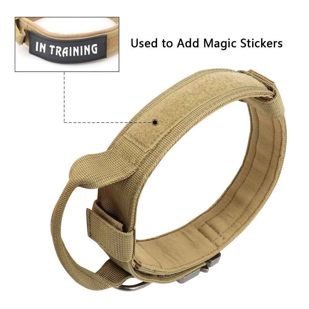 Durable Dog Collar &amp;amp; Leash Set — Adjustable, Comfortable, Everyday Use