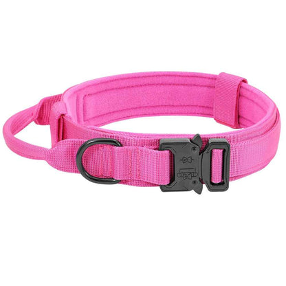 Durable Dog Collar &amp;amp; Leash Set — Adjustable, Comfortable, Everyday Use