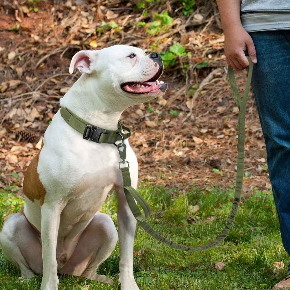 Durable Dog Collar &amp;amp; Leash Set — Adjustable, Comfortable, Everyday Use