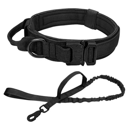 Durable Dog Collar &amp;amp; Leash Set — Adjustable, Comfortable, Everyday Use