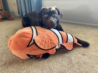 Finding Nemo &amp; Dory Dog Toys Squeaky &amp; NO Squeak All Sizes