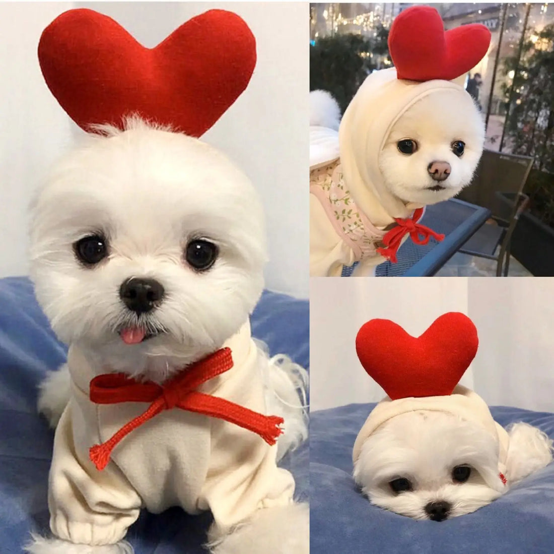 Fruit Dog Hoodie Warm Winter Fleece Puppy Clothes