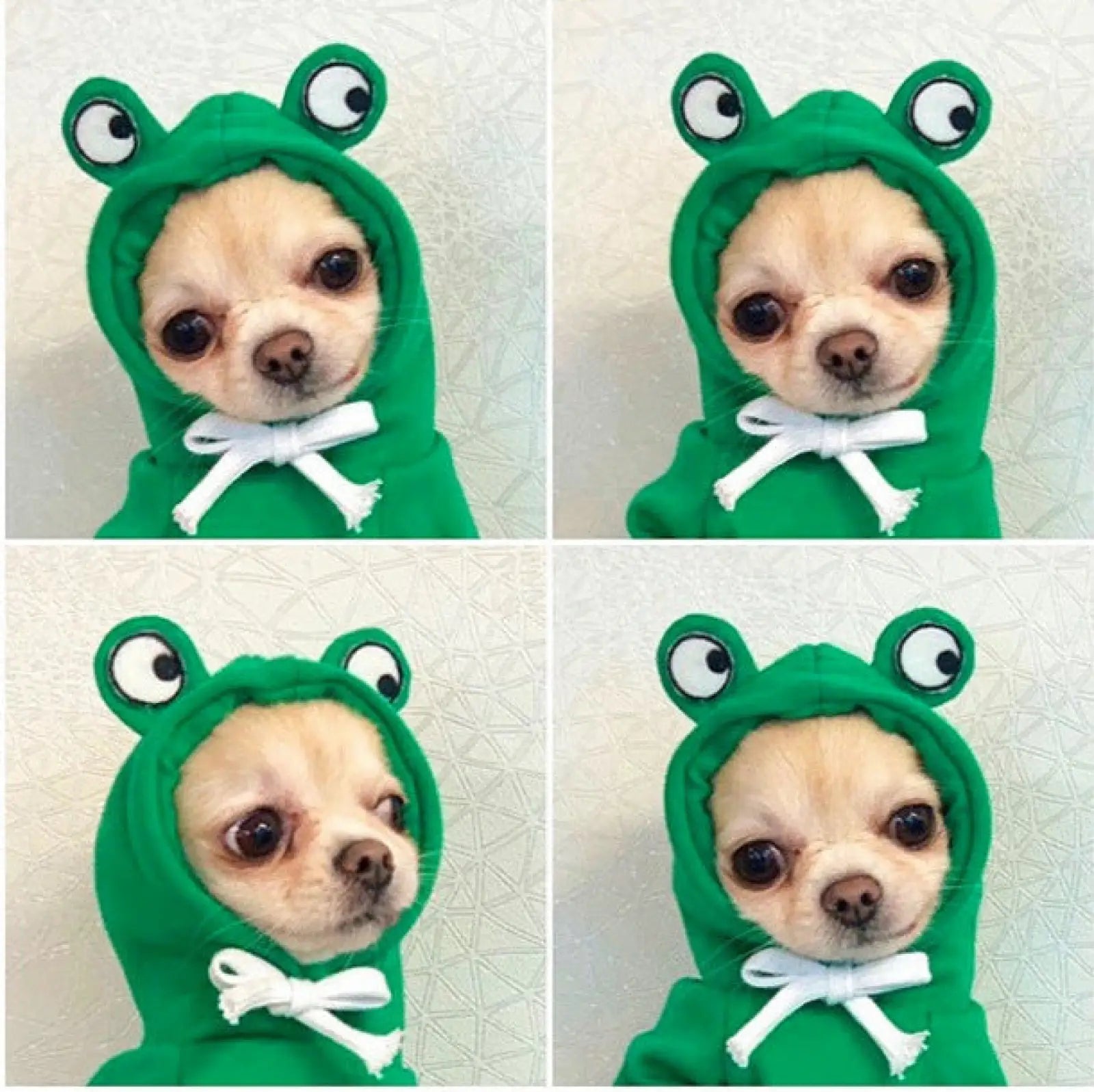 Fruit Dog Hoodie Warm Winter Fleece Puppy Clothes