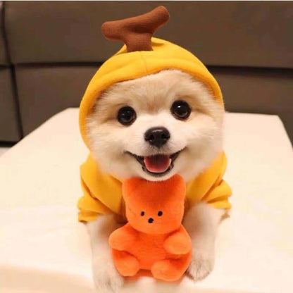 Fruit Dog Hoodie Warm Winter Fleece Puppy Clothes