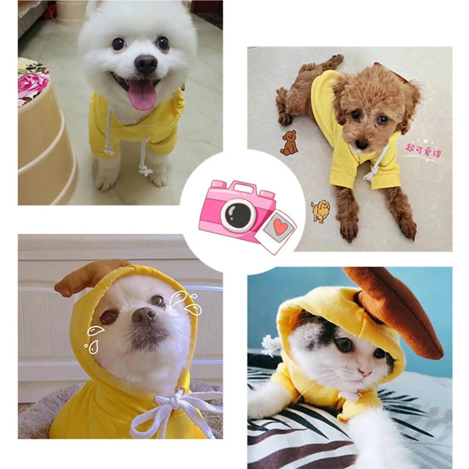 Fruit Dog Hoodie Warm Winter Fleece Puppy Clothes