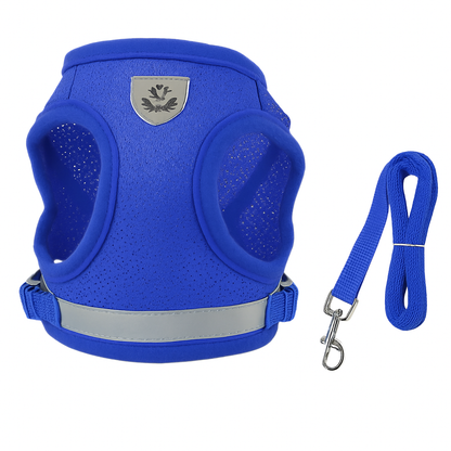 Pet Mesh Harness and Leash Set with Reflective Chest Strap