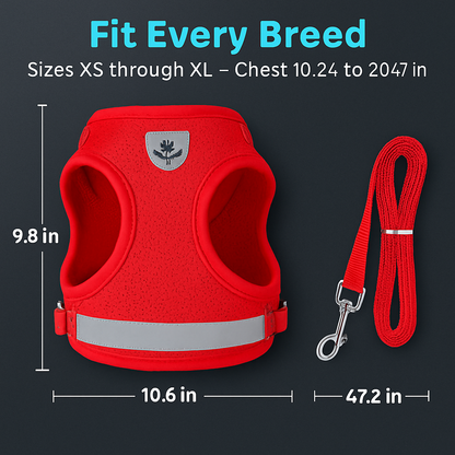 Pet Mesh Harness and Leash Set with Reflective Chest Strap