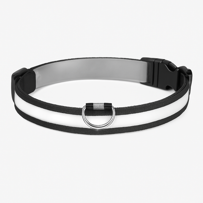 LED Dog Collar: Safety Light for Night Walks