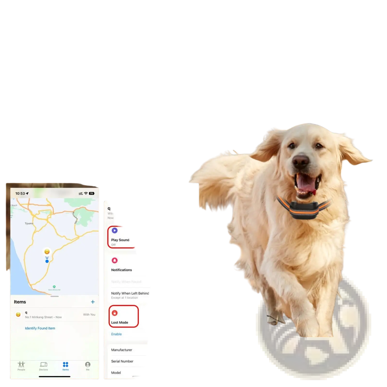 Gps Wireless Dog Fence and Tracker with Waterproof Collar