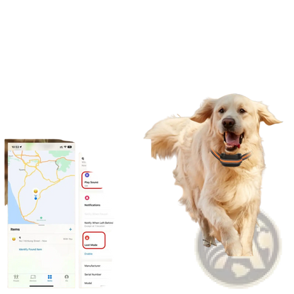 Gps Wireless Dog Fence and Tracker with Waterproof Collar