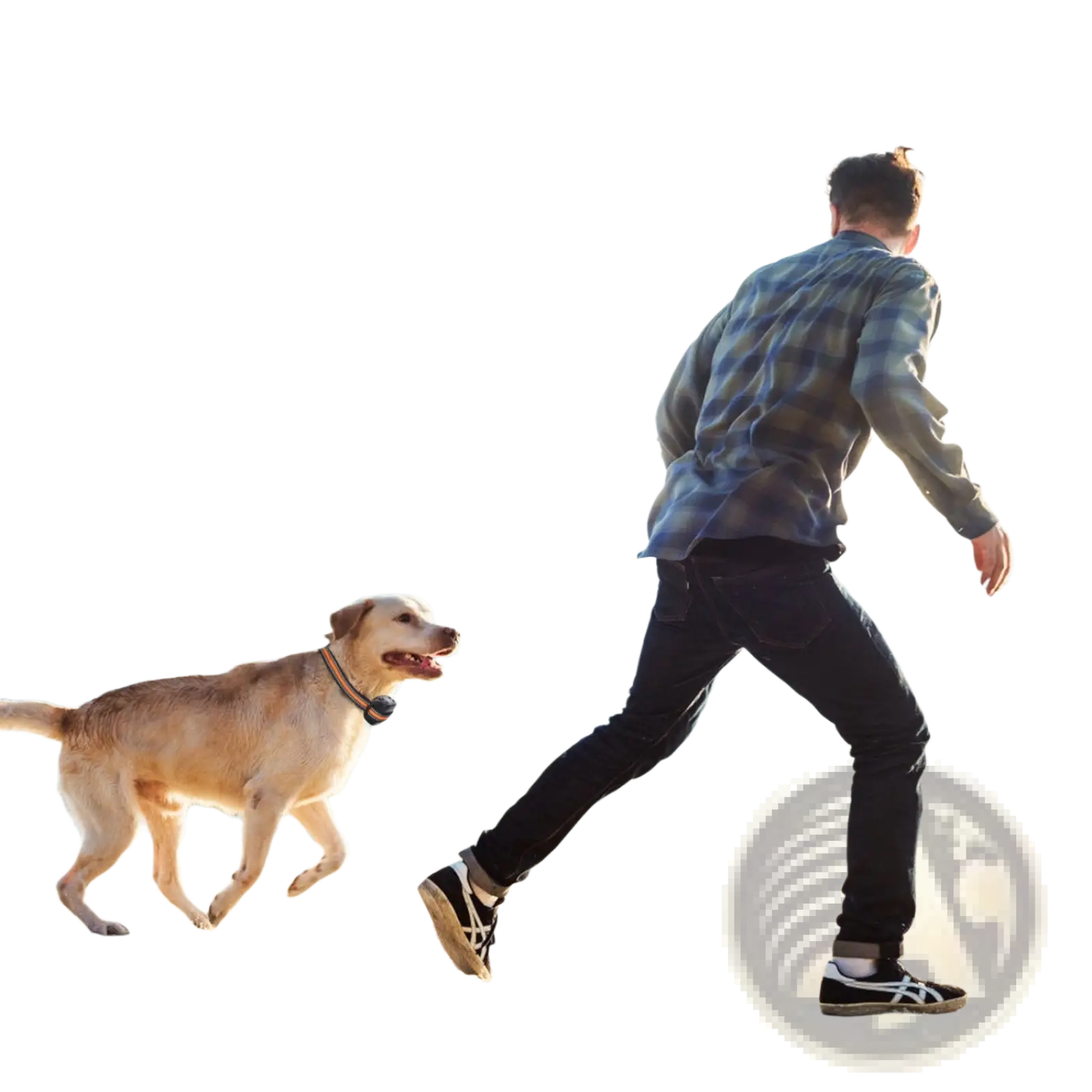 Gps Wireless Dog Fence and Tracker with Waterproof Collar