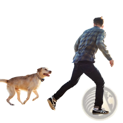 Gps Wireless Dog Fence and Tracker with Waterproof Collar