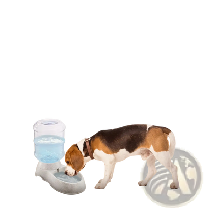 Gravity Pet Water Dispenser 3.5l Automatic Waterer