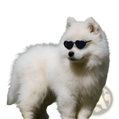 Heart Shaped Fashion Sunglasses for Pets and Dolls