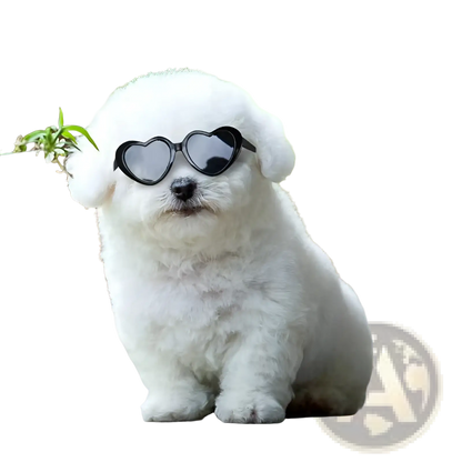 Heart Shaped Fashion Sunglasses for Pets and Dolls
