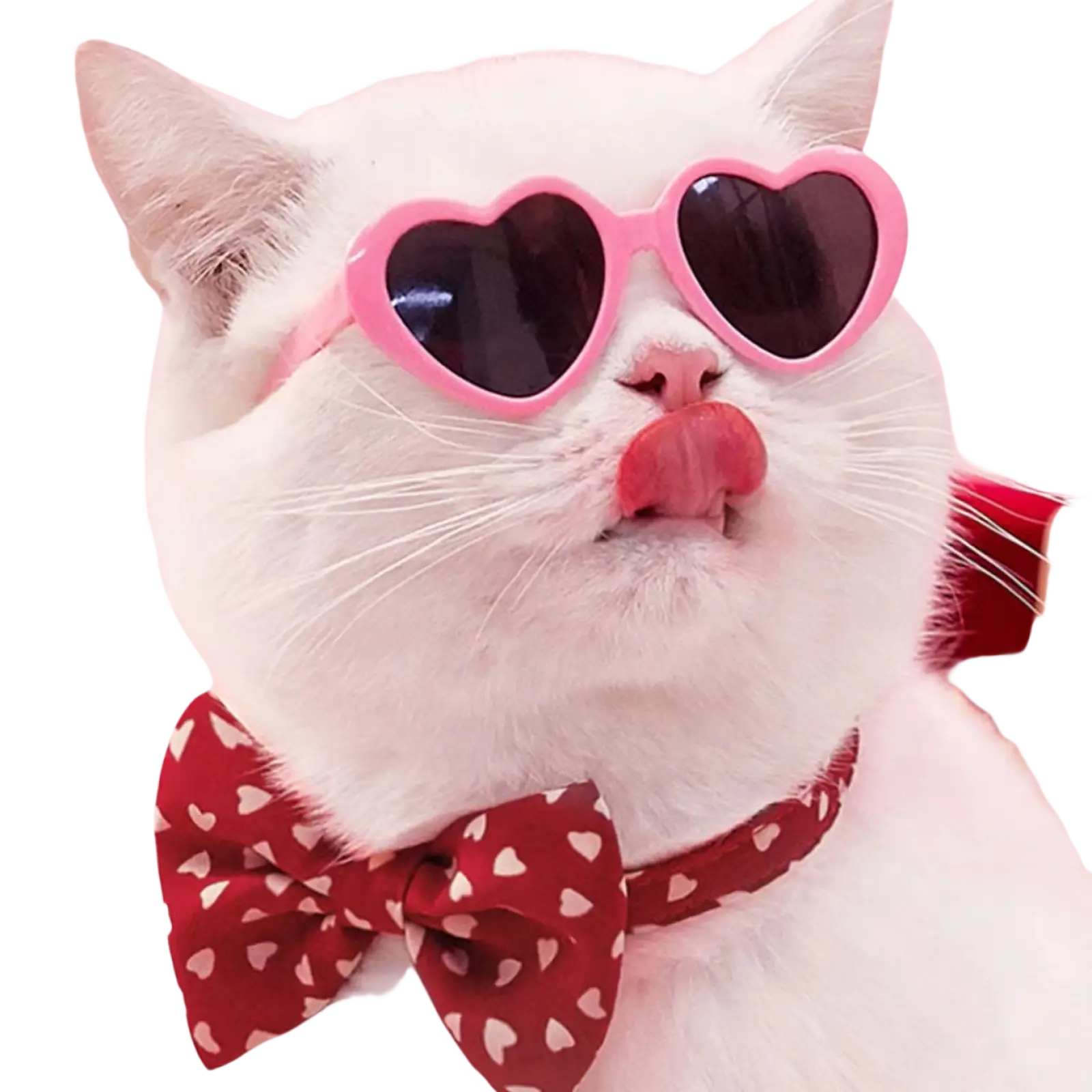 Heart Shaped Fashion Sunglasses for Pets and Dolls