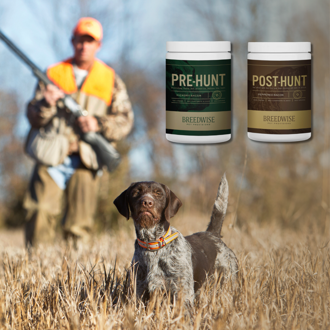 Breedwise Pre &amp; Post-HUNT Soft Dog Chews -  Bundle
