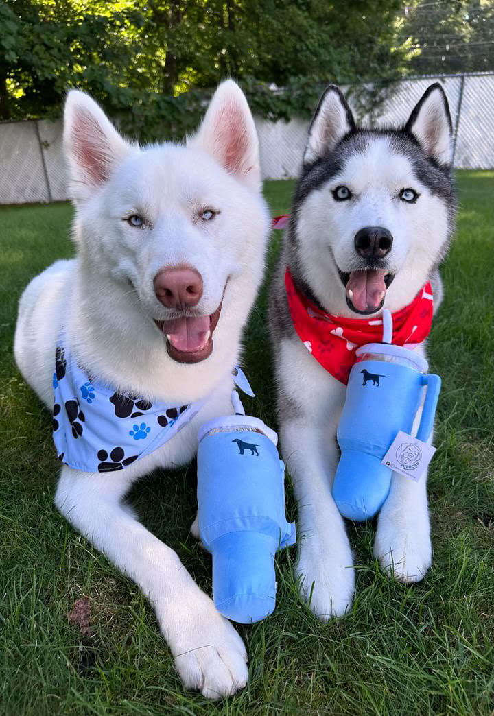 PUPROAR Pup Cup Dog Toy | Cute Squeaky Plush Tumbler Dog Toy