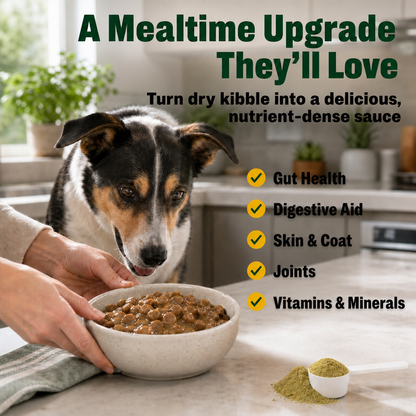 SuperSauce 12-In-1 Multifunctional Probiotic Kibble Topper Powder for Dogs — 60 Scoops, 12.7 oz. (360g)