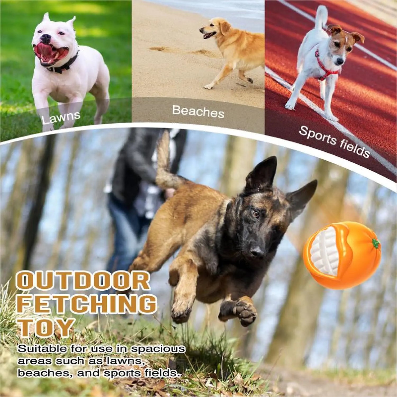Indestructible Squeaky Dog Toy Durable Tpr Chew Ball