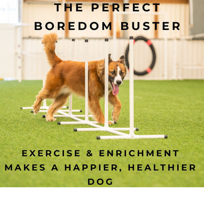 Better Sporting Dogs 7 Piece Dog Agility Equipment Set –  with Jumps, Tunnels, Pause Box &amp; Weave Poles
