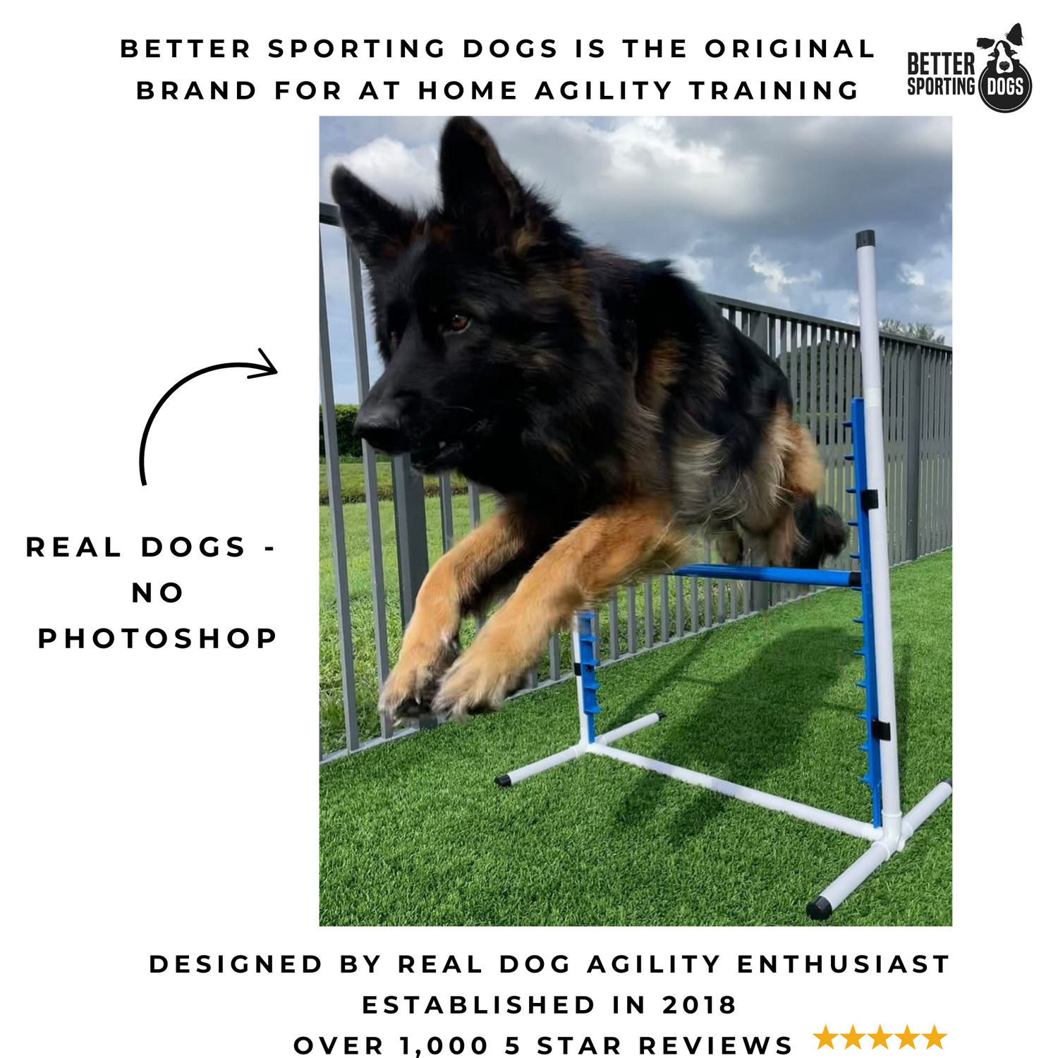 Better Sporting Dogs Adjustable Dog Agility Bar Jumps &amp; Tire Jumps