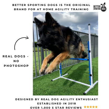 Better Sporting Dogs Adjustable Dog Agility Bar Jumps