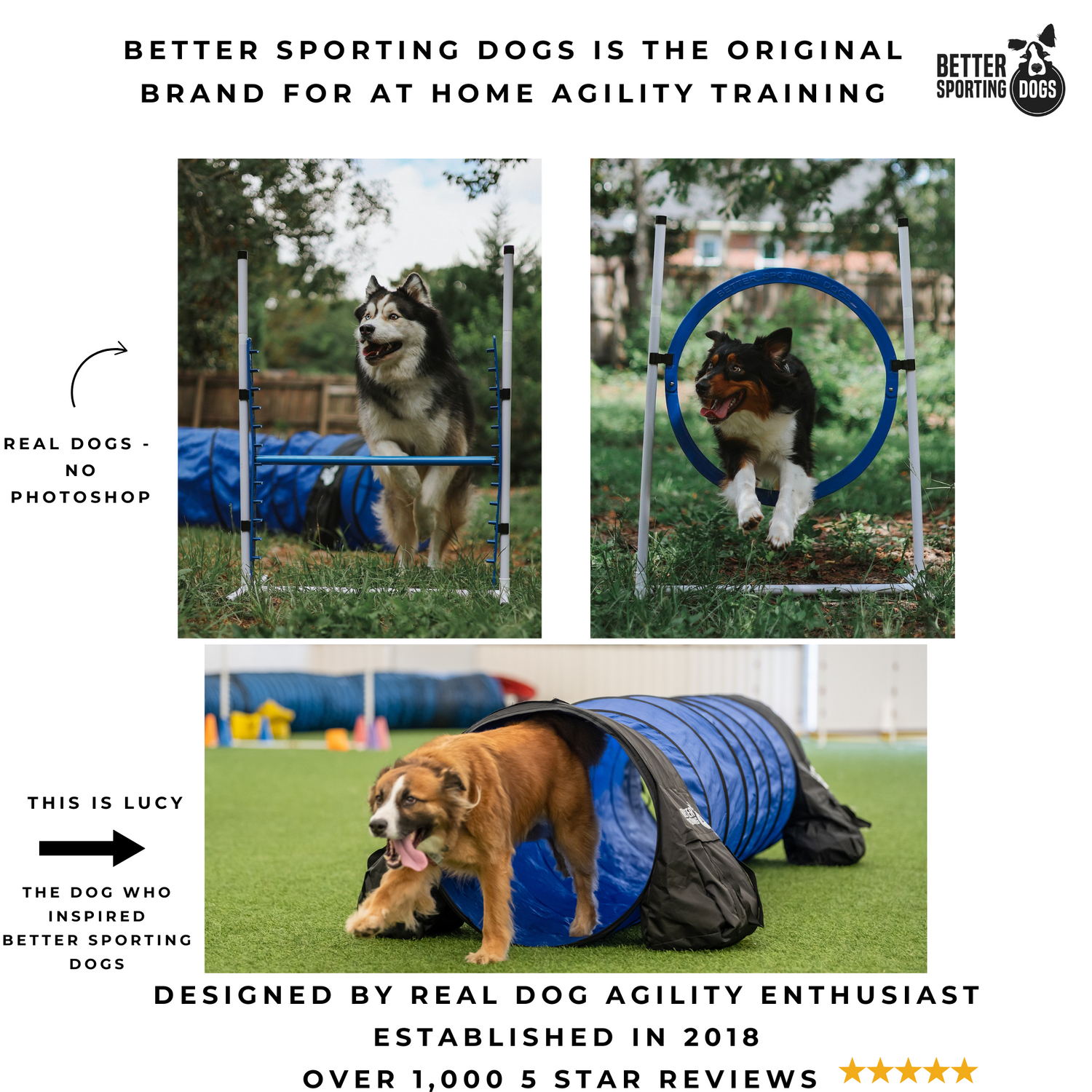 Better Sporting Dogs Upgraded Dog Agility Set – 5 Piece Training Kit with Safety Breakaway Tire Jump, Displacement Bar Jump, Tunnel, Weave Poles &amp; Pause Box