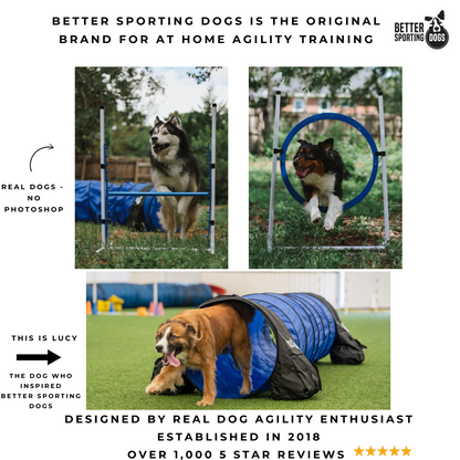 Better Sporting Dogs Upgraded Dog Agility Set – 5 Piece Training Kit with Safety Breakaway Tire Jump, Displacement Bar Jump, Tunnel, Weave Poles &amp; Pause Box