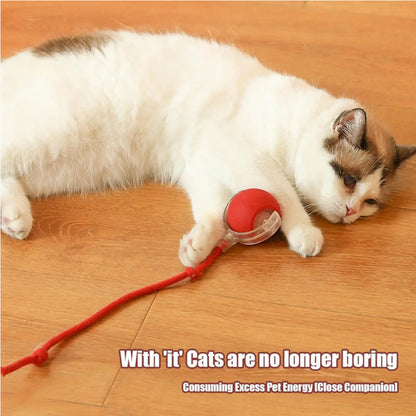 Interactive Cat Ball Motion Activated Silicone Toy
