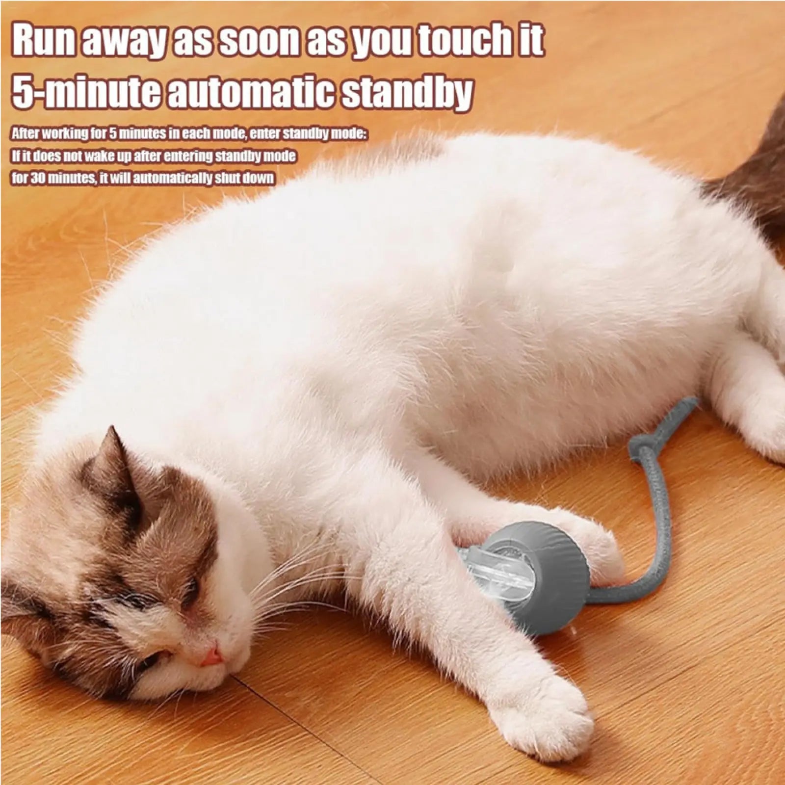 Interactive Cat Ball Motion Activated Silicone Toy