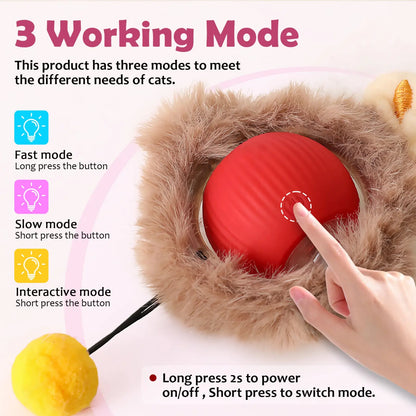 Interactive Cat Ball Toy with Motion Lights and Tail