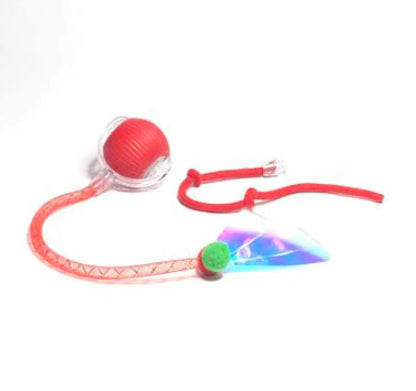 Interactive Cat Toy Ball Automatic Moving Roller Toy