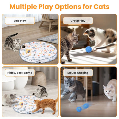Interactive Cat Toy Ball with Hide and Seek Pouch