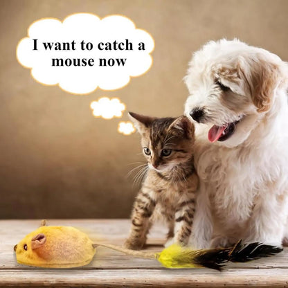 Interactive Cat Toy Mouse with Led and Chirping Sound