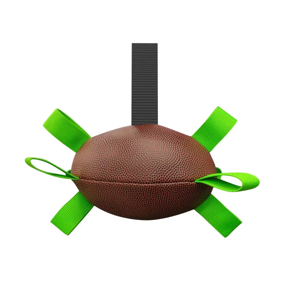 Interactive Halloween Dog Soccer Ball with Grab Tabs