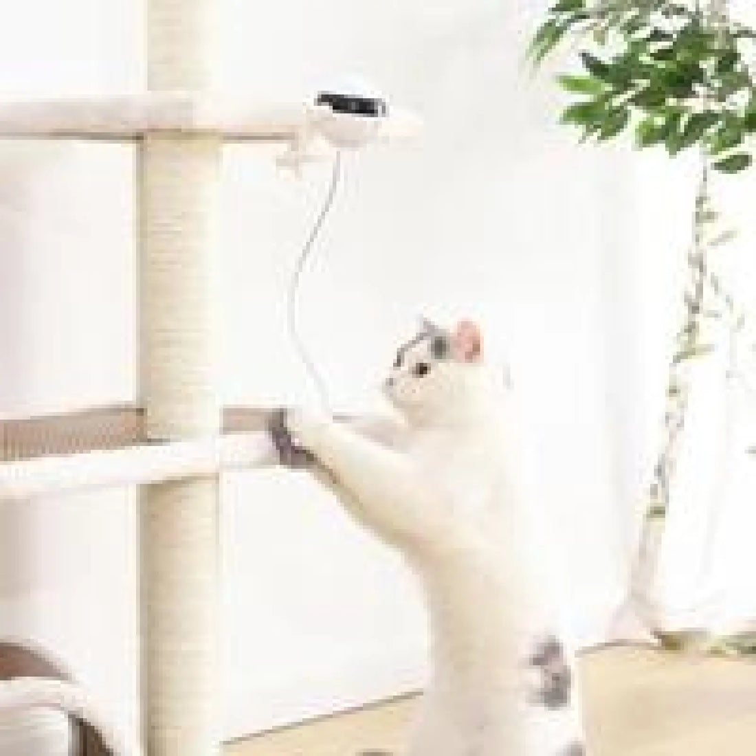 Interactive Electronic Motion Cat Toy for Pets